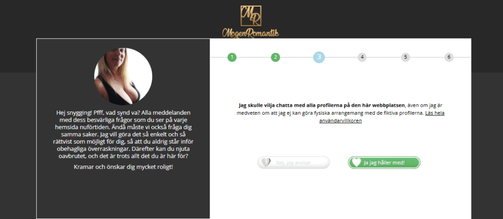 Redan i samband med registreringen tvingas vi acceptera att det finns falska profiler.